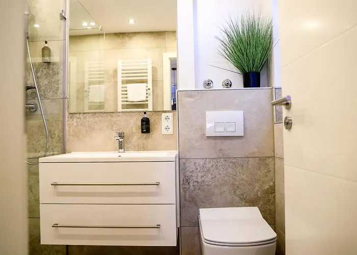 公寓 Smart Haus Saphir 505 温特贝格